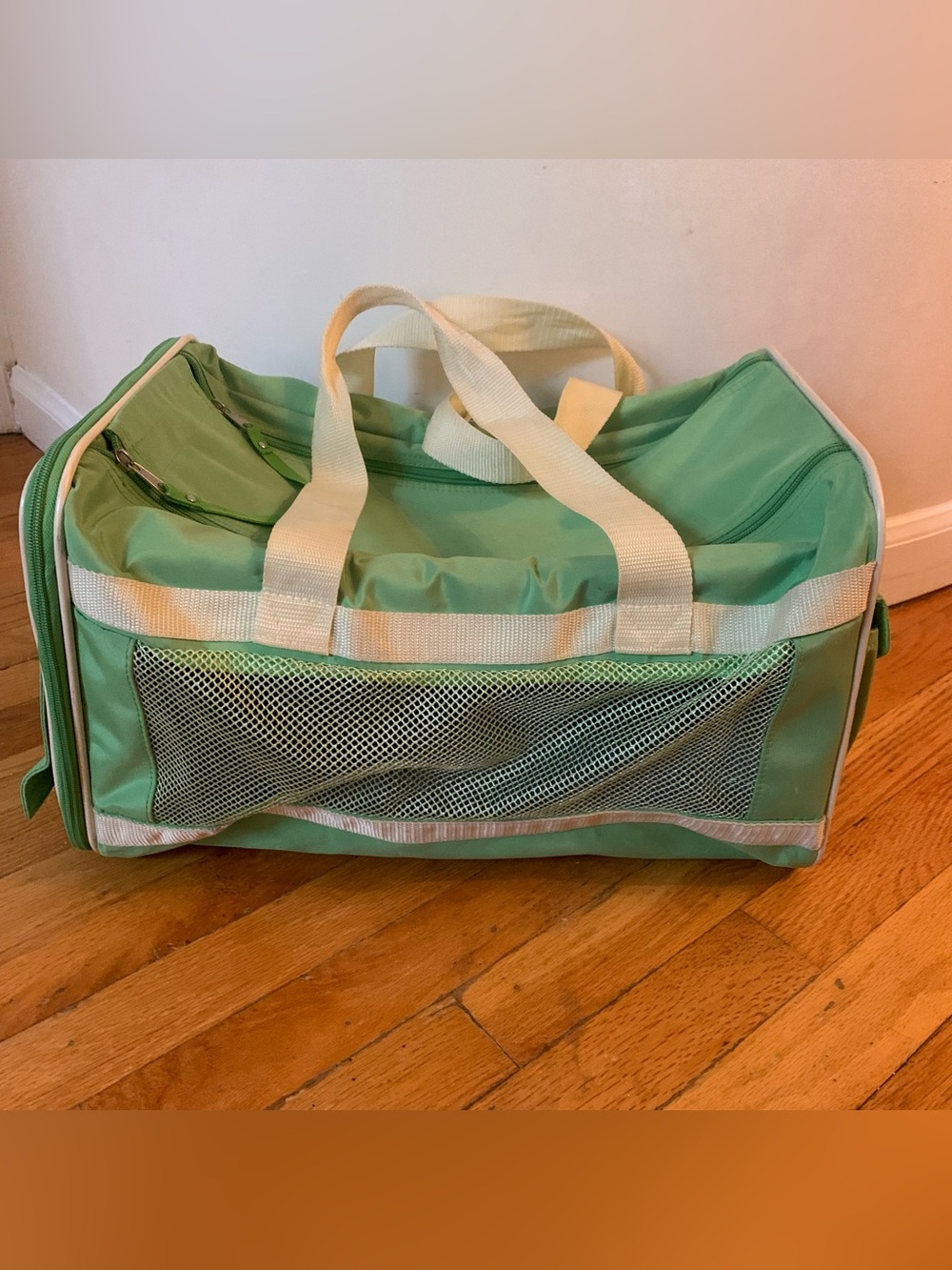 Pastel green pet carrier bag